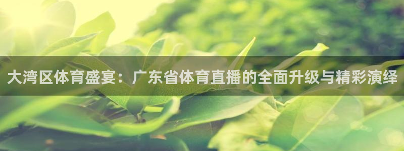 大湾区体育盛宴：广东省体育直播的全面升级与精彩演绎