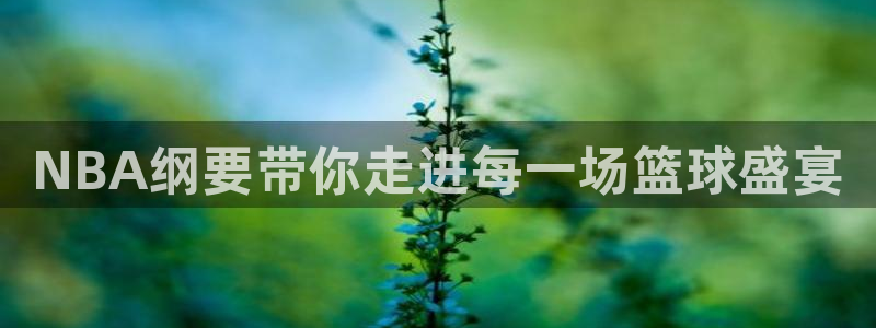 NBA纲要带你走进每一场篮球盛宴