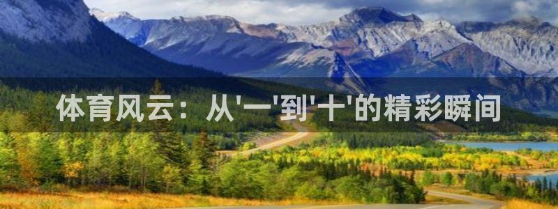 体育风云：从\'一\'到\'十\'的精彩瞬间