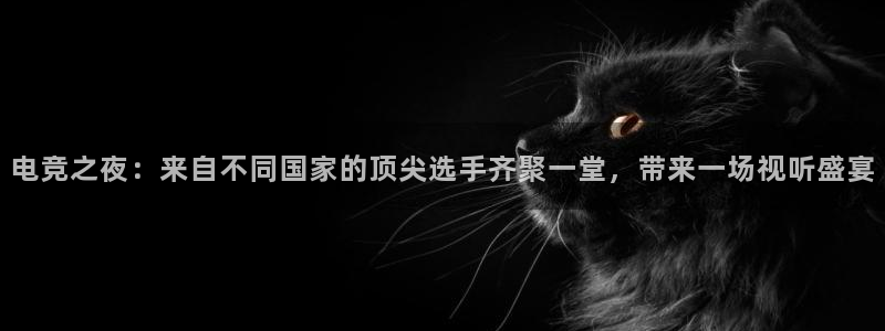 电竞之夜：来自不同国家的顶尖选手齐聚一堂，带来一场视听盛宴