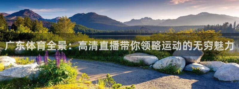 广东体育全景：高清直播带你领略运动的无穷魅力