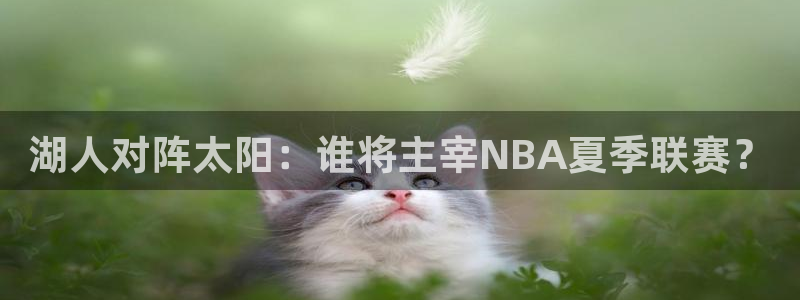 湖人对阵太阳：谁将主宰NBA夏季联赛？
