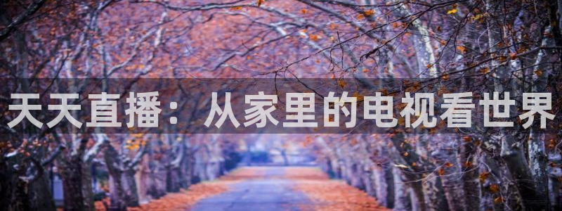 天天直播：从家里的电视看世界
