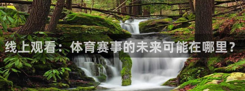 线上观看：体育赛事的未来可能在哪里？