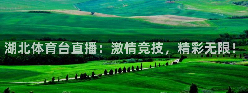 湖北体育台直播：激情竞技，精彩无限！