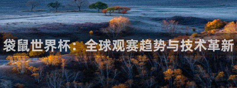袋鼠世界杯：全球观赛趋势与技术革新