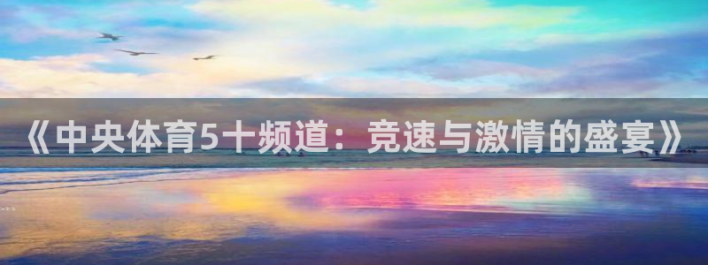 《中央体育5十频道：竞速与激情的盛宴》