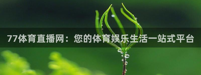 77体育直播网：您的体育娱乐生活一站式平台