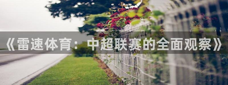 《雷速体育：中超联赛的全面观察》