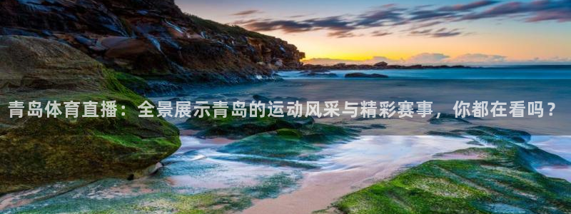 青岛体育直播：全景展示青岛的运动风采与精彩赛事，你都在看吗？