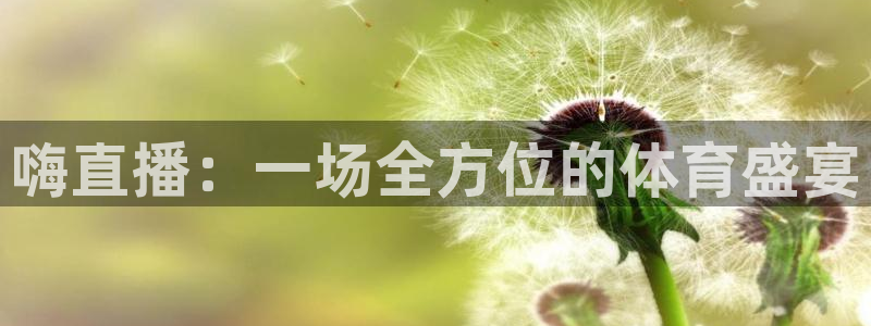 嗨直播：一场全方位的体育盛宴