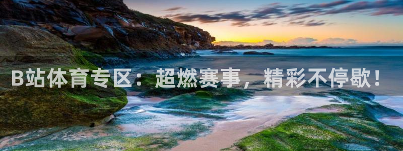 B站体育专区：超燃赛事，精彩不停歇！