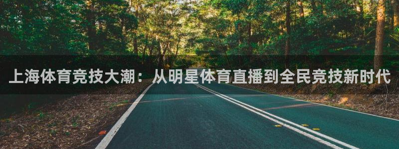 上海体育竞技大潮：从明星体育直播到全民竞技新时代