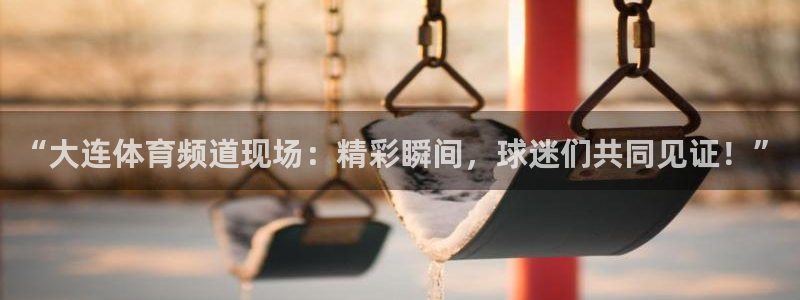 “大连体育频道现场：精彩瞬间，球迷们共同见证！”