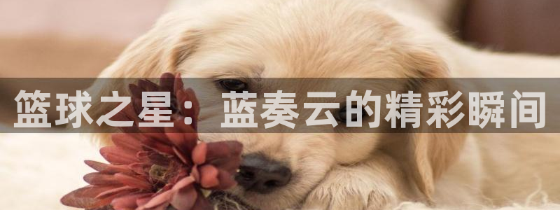 篮球之星：蓝奏云的精彩瞬间