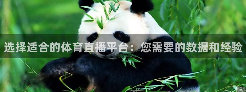 选择适合的体育直播平台：您需要的数据和经验