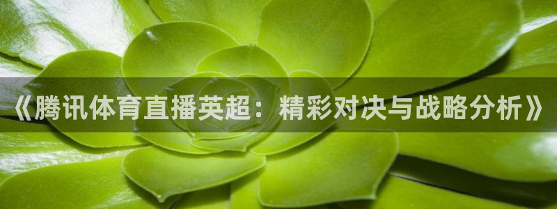 《腾讯体育直播英超：精彩对决与战略分析》