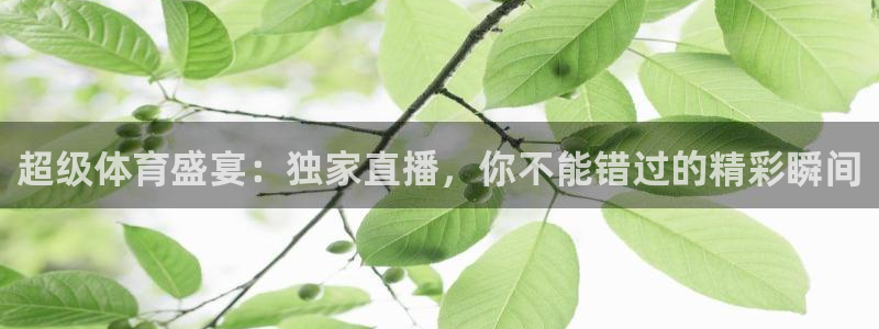 超级体育盛宴：独家直播，你不能错过的精彩瞬间