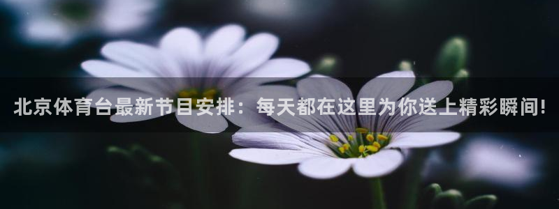 北京体育台最新节目安排：每天都在这里为你送上精彩瞬间!