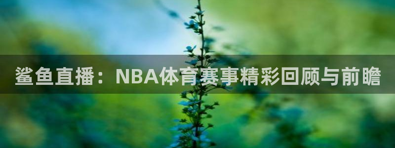 鲨鱼直播：NBA体育赛事精彩回顾与前瞻